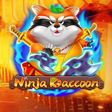 Ninja Raccoon